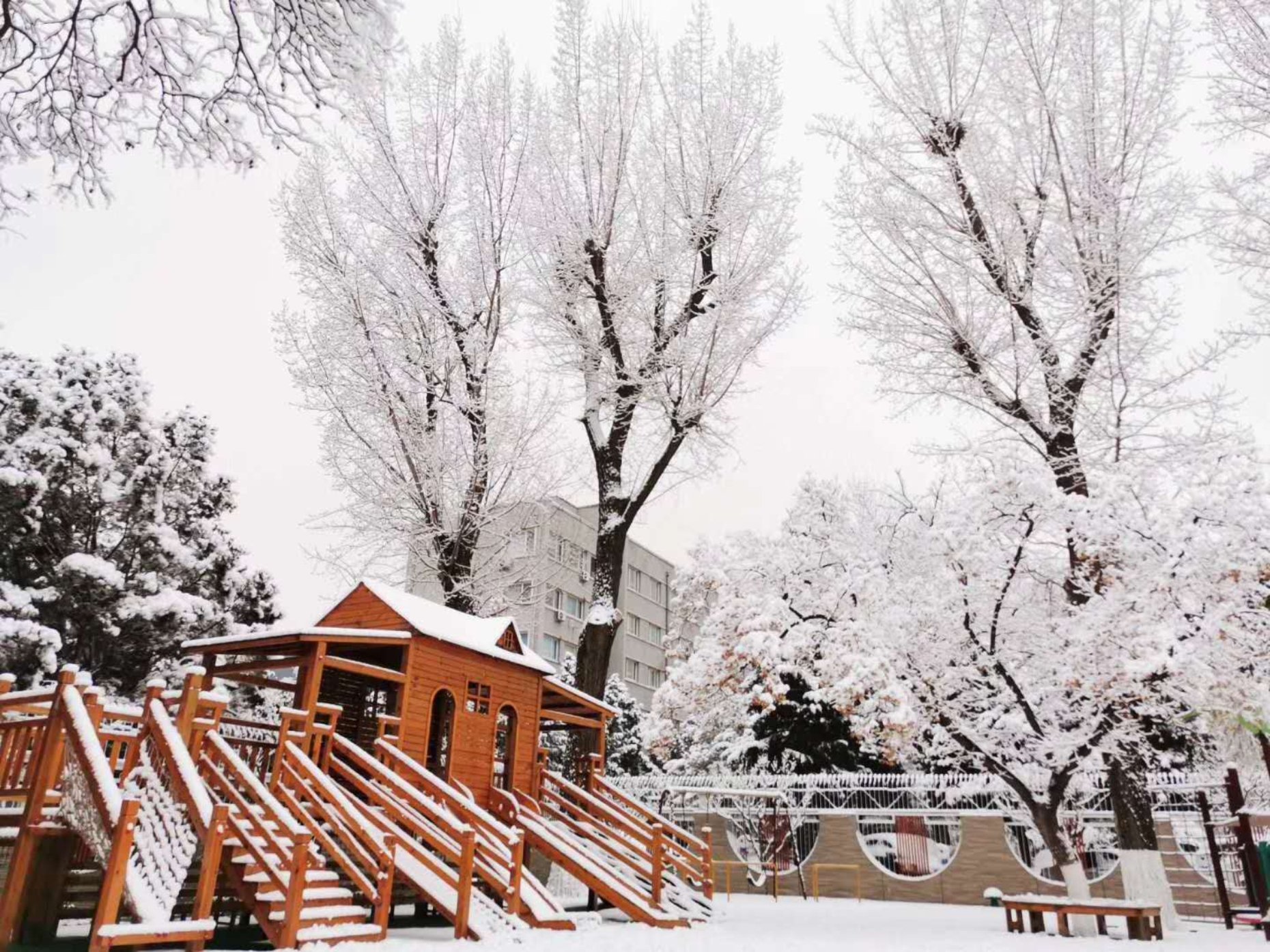 D:\�����԰��԰\2020��������\����ֲ���ƪ��Ƭ������\2020.2.13 ���⹫�ں����ֺ���Ƭ\2020.2.13 ���⹫�ں����ֺ���Ƭ\bnuk2.jpg