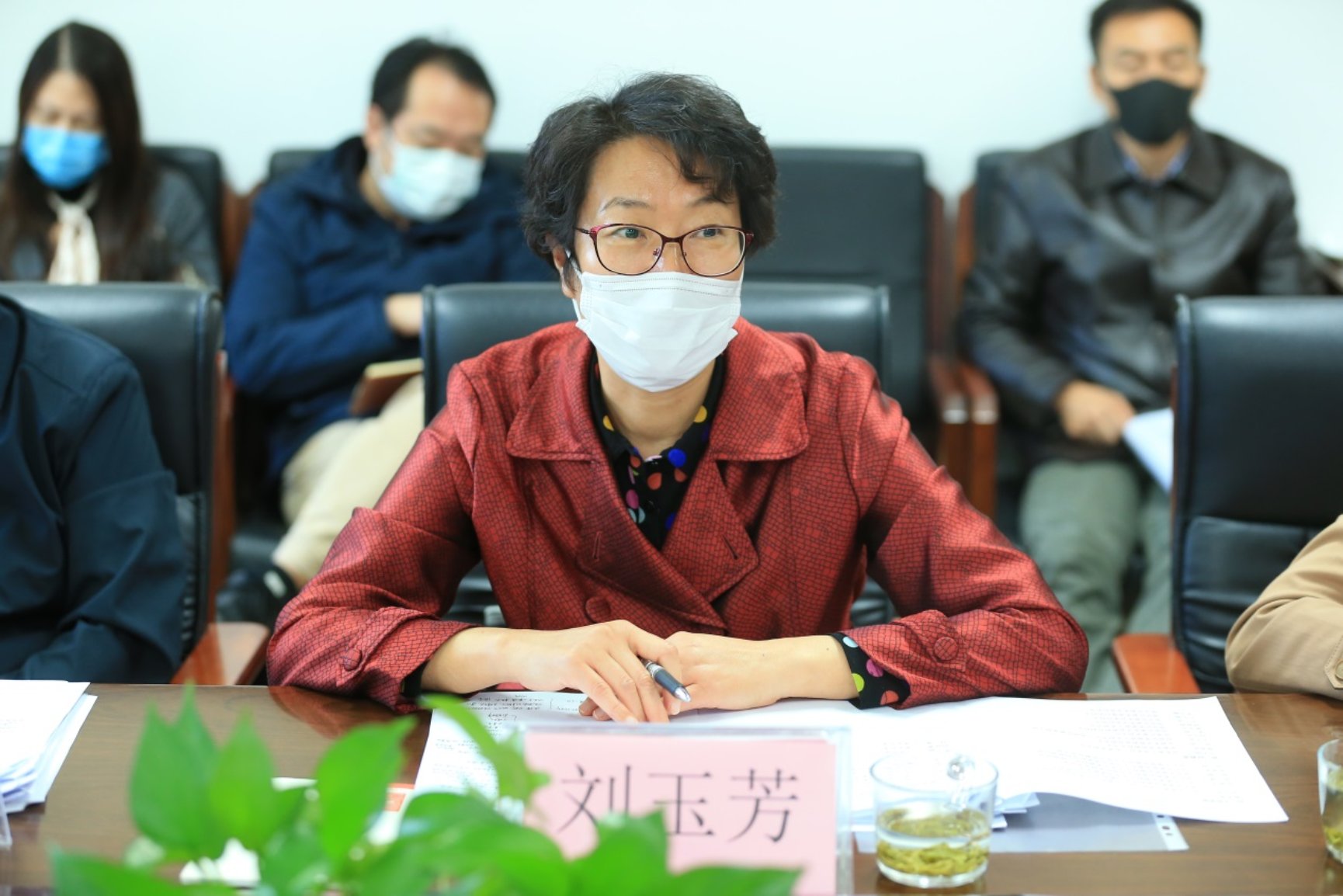 C:\Users\admin\Desktop\����Ƭ\���� (2).JPG