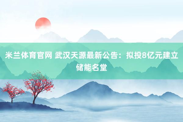 米兰体育官网 武汉天源最新公告：拟投8亿元建立储能名堂