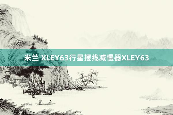 米兰 XLEY63行星摆线减慢器XLEY63