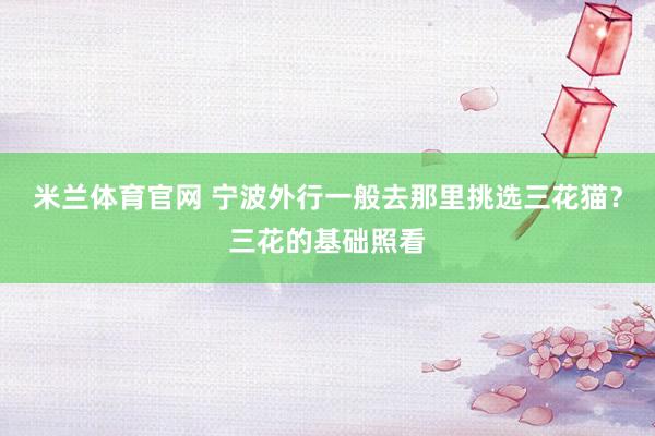 米兰体育官网 宁波外行一般去那里挑选三花猫？三花的基础照看