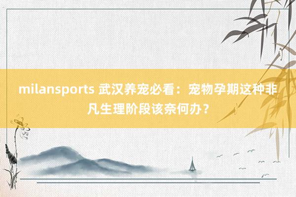 milansports 武汉养宠必看：宠物孕期这种非凡生理阶段该奈何办？