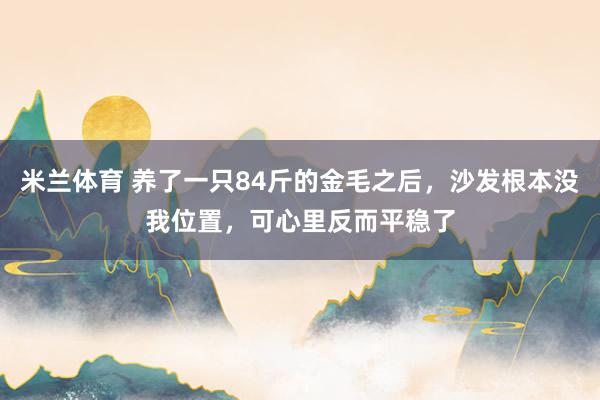 米兰体育 养了一只84斤的金毛之后，沙发根本没我位置，可心里反而平稳了