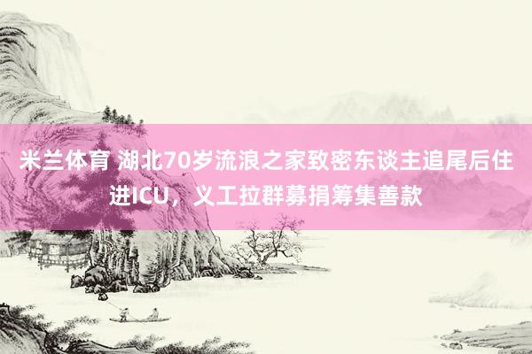 米兰体育 湖北70岁流浪之家致密东谈主追尾后住进ICU，义工拉群募捐筹集善款