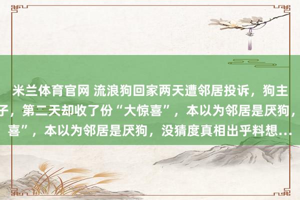 米兰体育官网 流浪狗回家两天遭邻居投诉，狗主东说念主力挺自家毛孩子，第二天却收了份“大惊喜”，本以为邻居是厌狗，没猜度真相出乎料想…