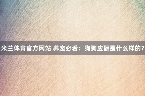 米兰体育官方网站 养宠必看：狗狗应酬是什么样的？