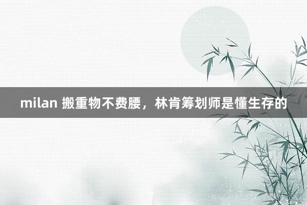 milan 搬重物不费腰，林肯筹划师是懂生存的