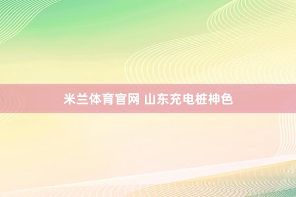 米兰体育官网 山东充电桩神色
