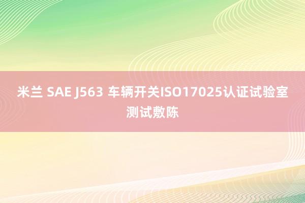 米兰 SAE J563 车辆开关ISO17025认证试验室测试敷陈