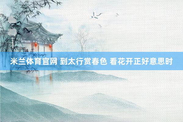 米兰体育官网 到太行赏春色 看花开正好意思时